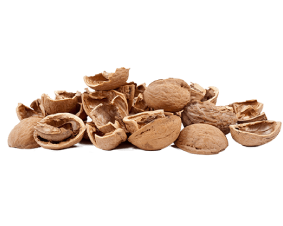 frutos